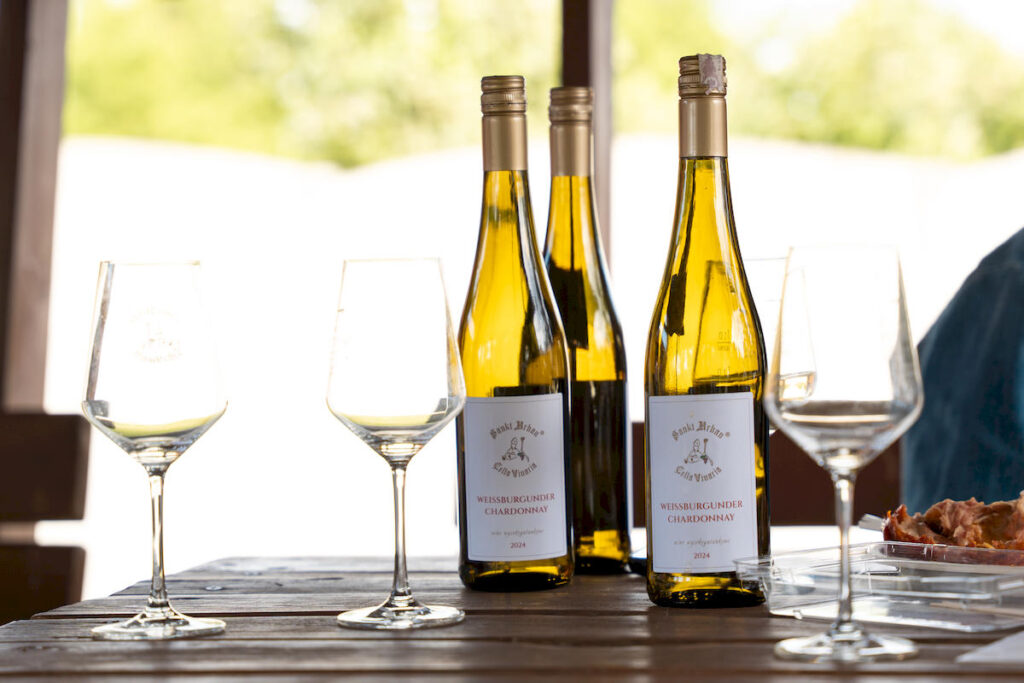 Weissburgunder, hesja nadreńska, rheinhessen, wino, pinot blanc
