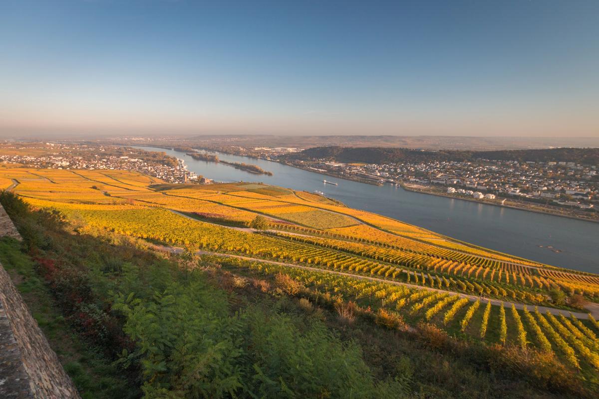 hesja nadreńska, rheinhessen, wino, wina, niemieckie wina, region winiarski